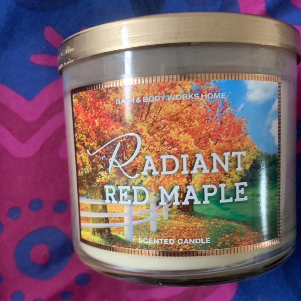 BATH AND BODY WORKS CANDLE